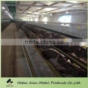 automatic broiler cage