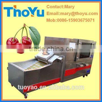 Professional Durable Cherry Stone Extracting Machine(SMS: 0086-15903675071)