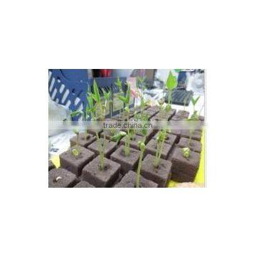Plant Cultivation &floral Foam Tray& Seedling Bed Sponge photo-2
