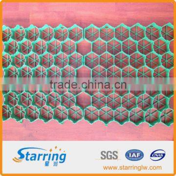 Plastic Paving Grid photo-5