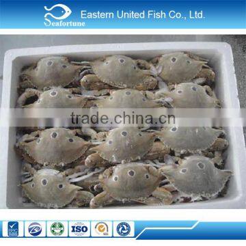 Wholesale Seafood Frozen Three Spot Crab photo-3