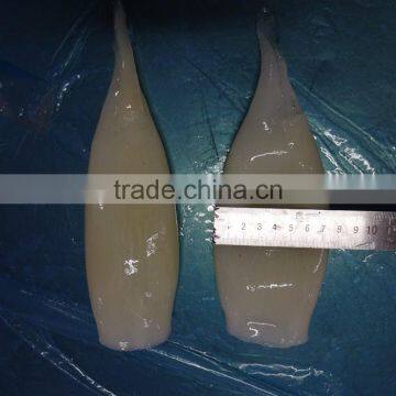 HACCP,QS Certification Frozen Illex Squid Tube photo-3