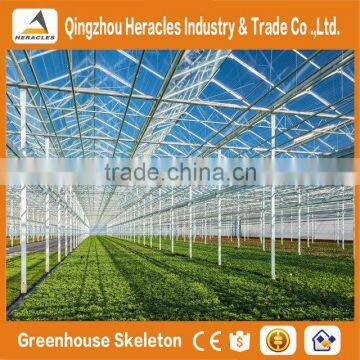 Heracles Trade Assurance Greenhouse Equipment- Venlo Type Glass Panels Greenhouse for Sale photo-2