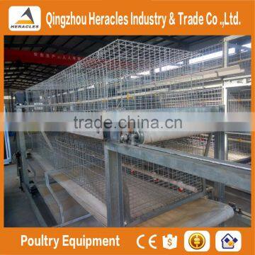 Factory Price Trade Assurance Cages Chicken Equipment Poultry Equipment photo-2