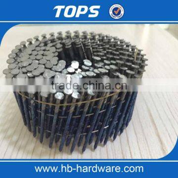 Hot Dipped Electro Galvanized Coil Nail photo-2