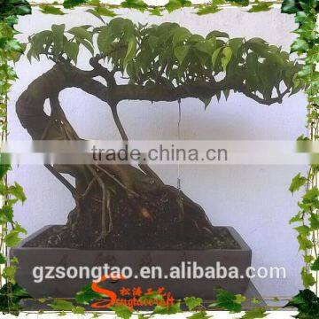 Best Price Hot Sale Domestic Artificial Small Bonsai Pine Tree photo-6