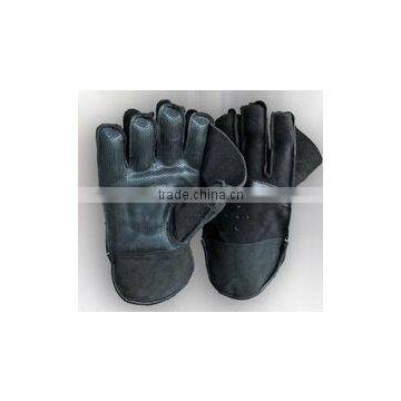 Wickets Keeper Gloves