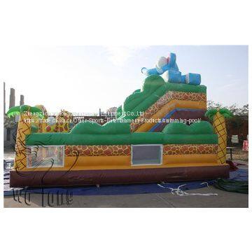 Wolong PVC Trapualin Inflatable Dry Slide, Inflatable Water Slides For Backyard