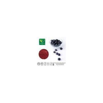 European Bilberry Extract