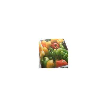Sell Mesh fabric for Digital Printing