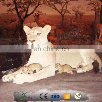 KAWAH Life Size Realistic Animatronic Artificial lion statues for sale