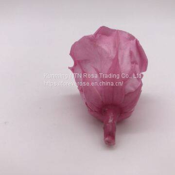 Wholesale3-4cm Elegant Real Touch Preserved Rose Flower photo-4