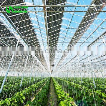 2017 Hot Selling Commercial Solar Energy Greenhouse For Agriculture