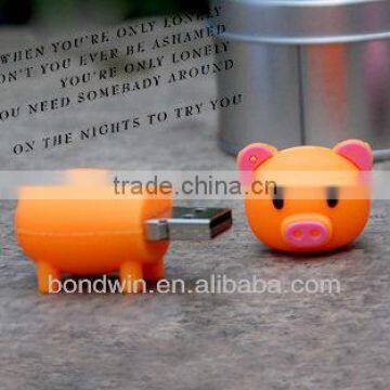 pig flash disk