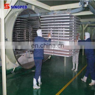 Food Grade Vacuum Freeze Dry Machine Lyophilizer Machine Industrial Fruit Food Vacuum Freeze Dryer photo-2