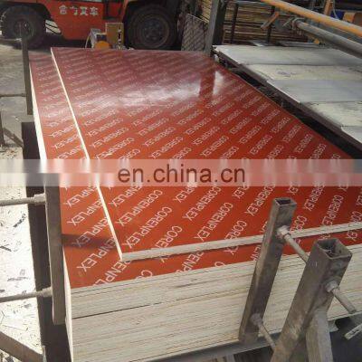 Concrete building construction film faced plywood wbp glue plywood1220*2440*18mm CORENPLEX