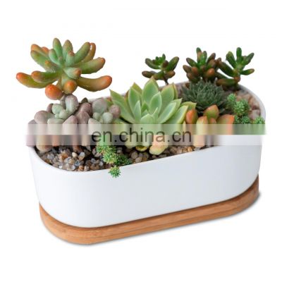 New Product Pots & Planters Groot Decorative Rectangle Metal Modern Garden Cheap Ceramic Succulent Natural Flower Pot