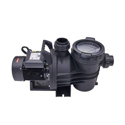 Professional supplier Water Pump Swimming Pool High Performance Pump 1.2hp,1.5hp,2hp,3hp,4hp pump