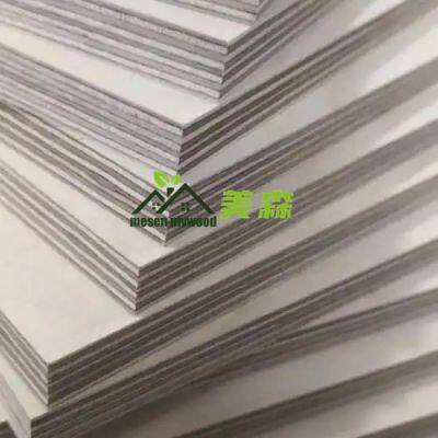Birch Plywood 3-25mm Poplar/Eucalyptus Core Plywood UV Coading Plywood for Furniture/Construction photo-2