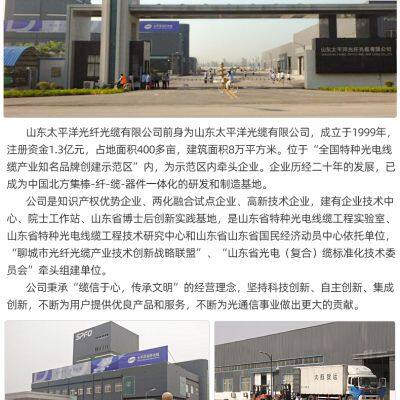 Central tube cable GYXTW