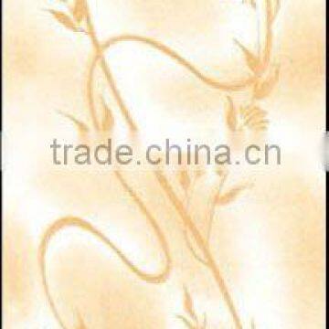 South Africa ceramic wall tile 200X300 23132