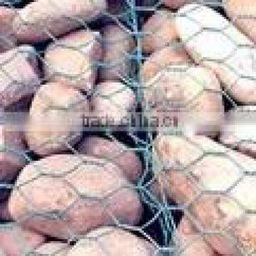 Hexagonal gabion box