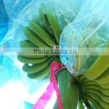 LDPE plastic soft banana cover bag with UV resistant