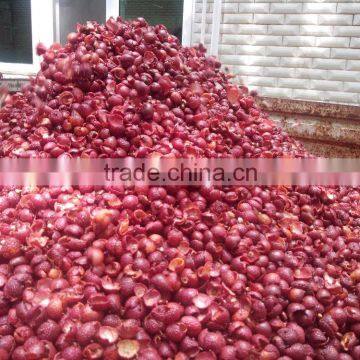 New Litchi Fruit Peocessing Machine/Litchi Peeler and Pitter photo-3