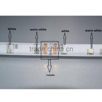 Double Color Warm White and White 3528 LED Strip DC12V photo-4