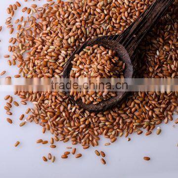 Suvimie Red Rice photo-2