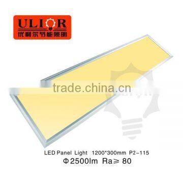 CE ROHS DLC Warm White 1' x 4' LED Panels Ultra Thin 1200x300 Led Panel Lighting for Commercial Lighting photo-5
