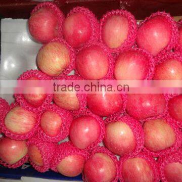 Fresh apple fruit/Chinese fresh apple/Wholesale price apple fruit