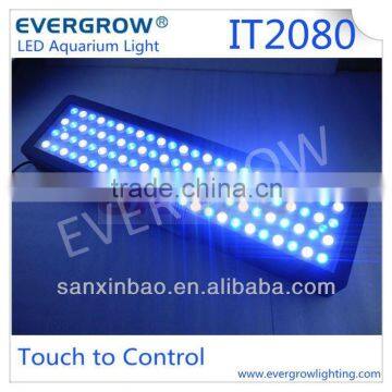 Evergrow IT2060 intelligent programmable aquarium LED lights