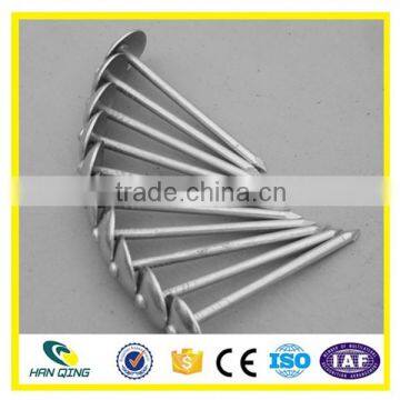 Shijiazhuang Mushroom head Roofing Nail