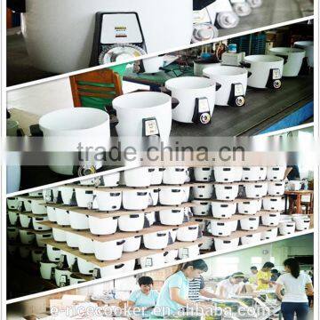 Perfect Brown Rice Electric Cooker to Iran photo-6
