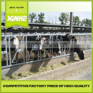 Hot sale wholesale Livestock Equipment Hot Dip Galvanized Cow Cattle Headlocks made in china