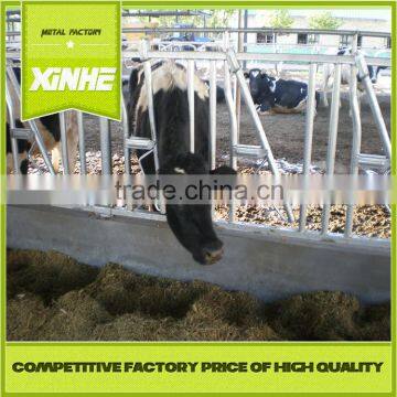 China Supplier Cattle cow Headlocks For Sale