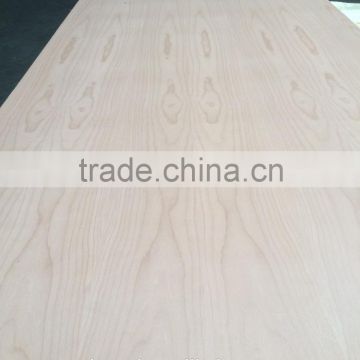 high Grade red beech veneer commercial Plywood