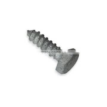 Hot Dipped Galvanized Lag Bolts (Screws)