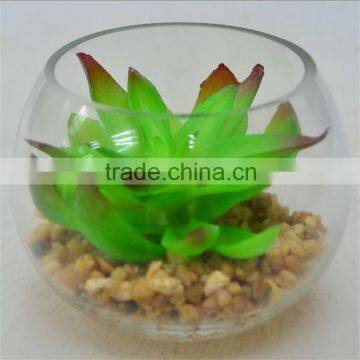 Gift Competitive Price Artificial Plant Round Terrarium