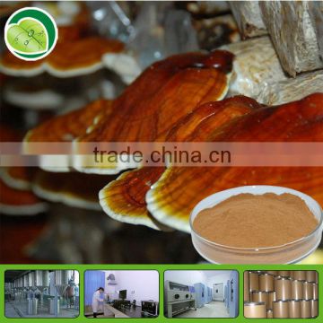 100% natural Ganoderma lucidum extract powder