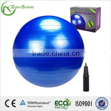 ZHENSHENG exercise gym yoga ball