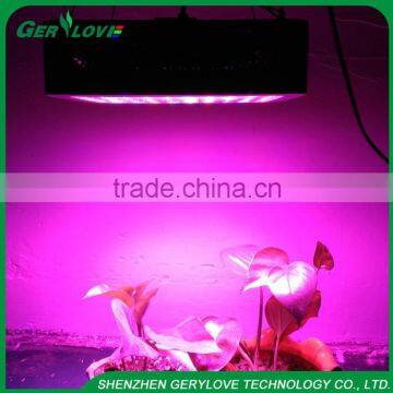Cheap Price 300W LED Panel Grow Light Full Spectrum 12 Bands