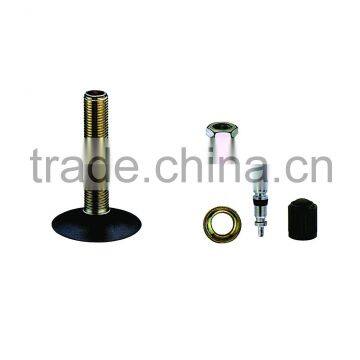 TR4A tire valve with accessories