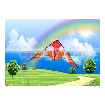 Dual Line Delta Stunt Kites - Straight Edge Kites