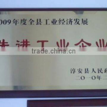 Advanced industrial enterprise