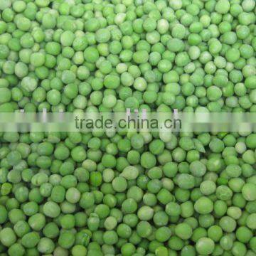 Frozen Vegetable