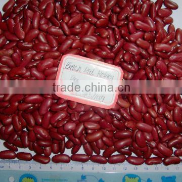 Factory direct supply of red kidney bean with cheap price