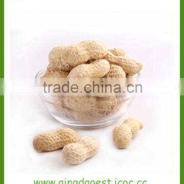 Peanut in Shell photo-2