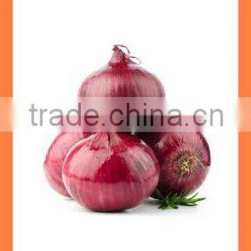 Fresh Red Onion FOR SALE